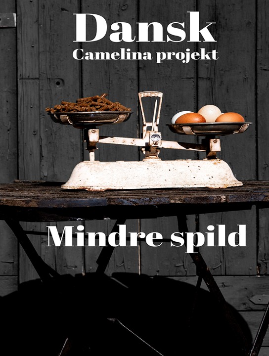 Mindre spild hos Dansk Camelina.