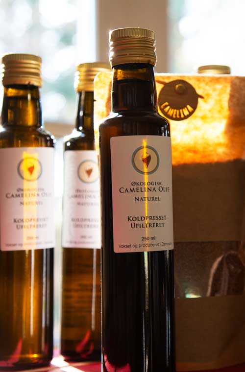 Økologisk Camelina olie fra Dansk Camelina
